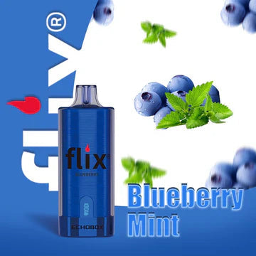 Flix 12000