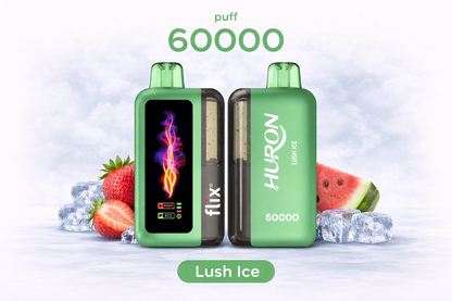 FLIX HURON 60000