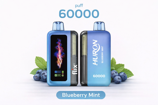 FLIX HURON 60000